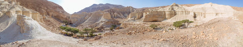 "Negev Desert Landscape" by Assaf Frank